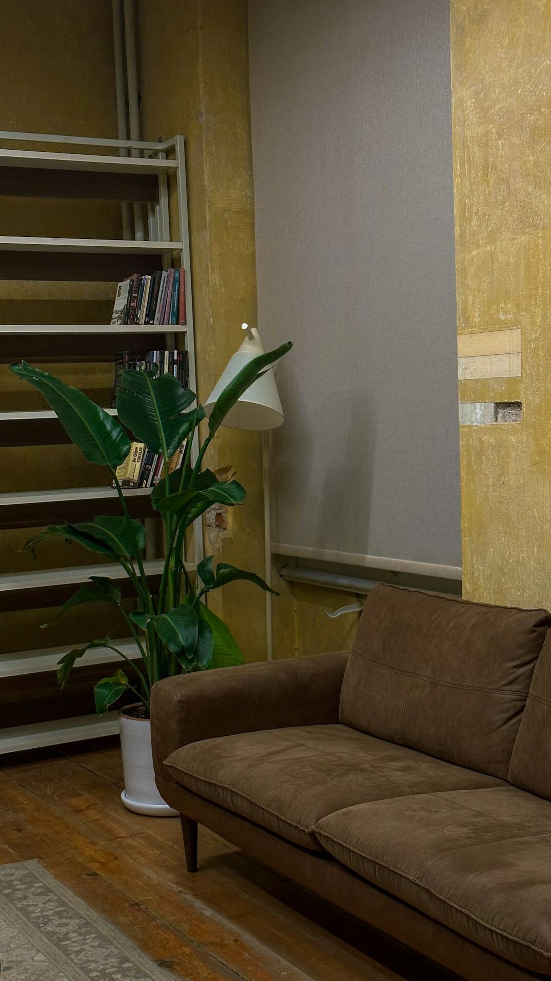 Quiet library with tall bookshelves